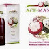 Obat Herbal Ace Maxs