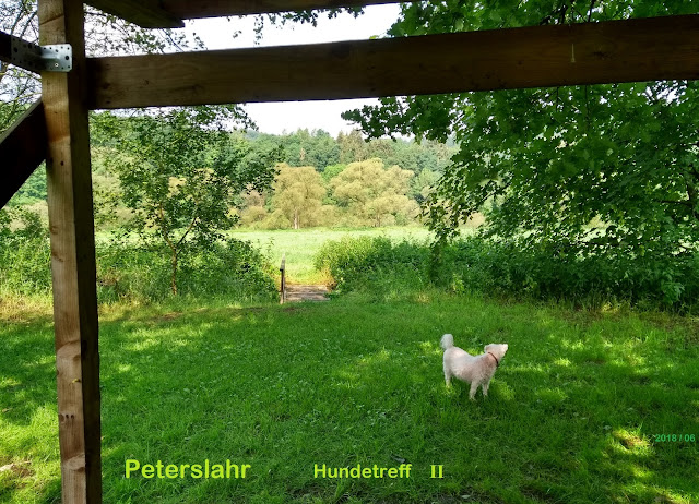 Peterslahr Hundetreff 2