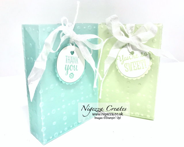 Nigezza Creates with Stampin' Up! Facebook Live Replay: So Very Vellum Gift Bag