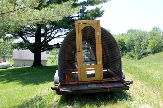 Frisky Farm mobile chicken coop hoop house