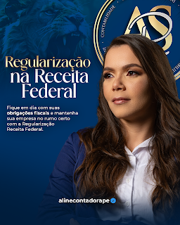 Declaração de Imposto de renda 2024 Melhor Contadora de Arcoverde Pernambuco - Aline Rosendo Stampini