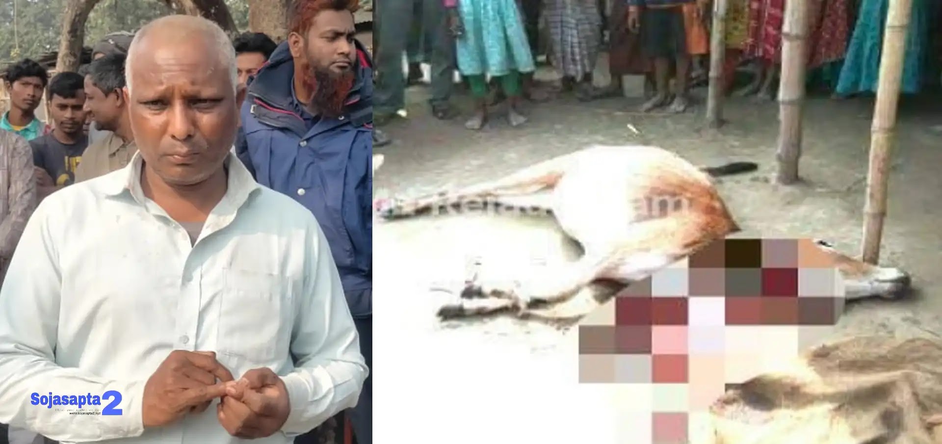 সৈয়দপুরে হিন্দুর বাড়িতে মুসলমানের গরু জবাই | Cow slaughtered by Muslims at Sayedpur Hindu house
