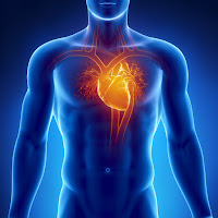 cardiac surgery cost in delhi