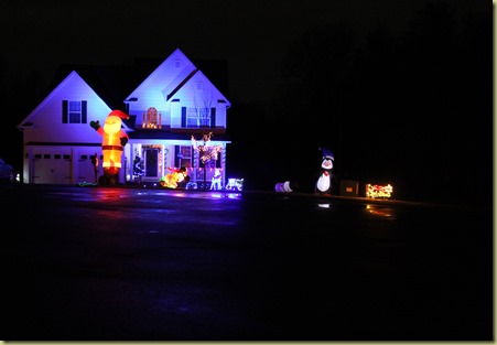 Lights 2015 (13)