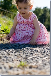 SONY DSC