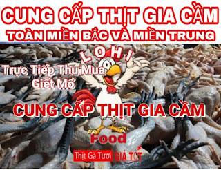 gà thịt tươi