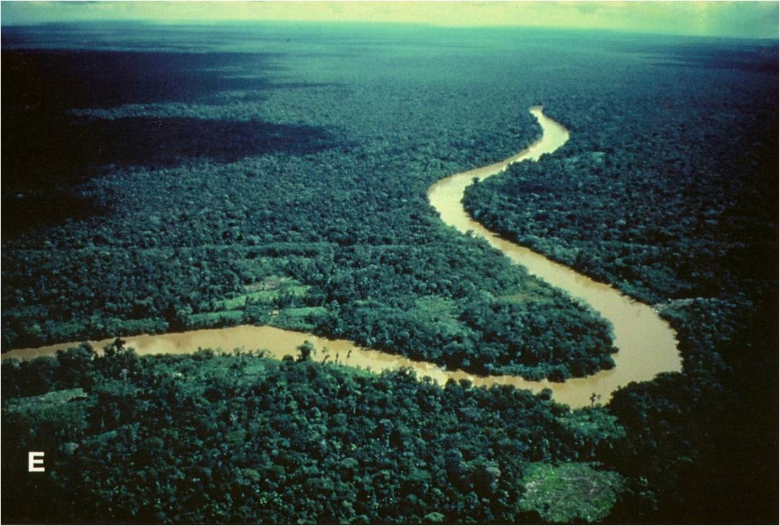 Subterranean Amazon river ‘is not a river’  Computer Tricks SEO 