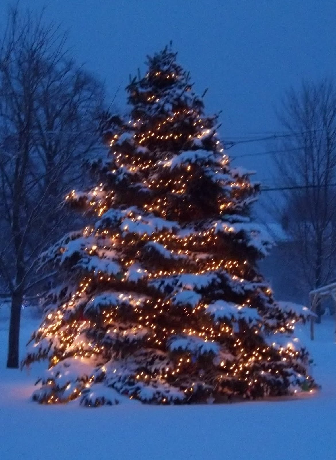christmas tree snow