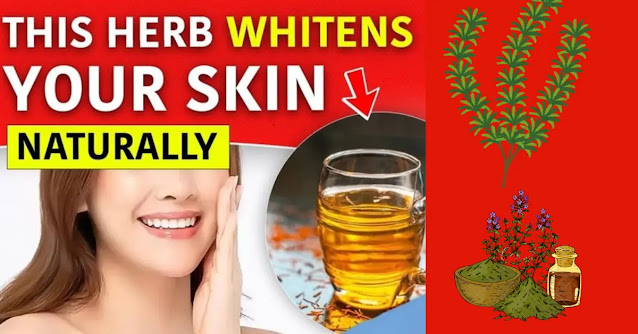 3 Powerful Herbs that You Should Start Using