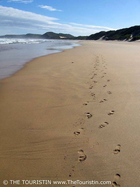 Footprints in the sand at Buffels Bay beach in Knysna in South Africa.