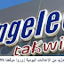 شركة أنجيليك تشغيل العديد من المناصب بمجالات مختلفة وبعدة مدن 