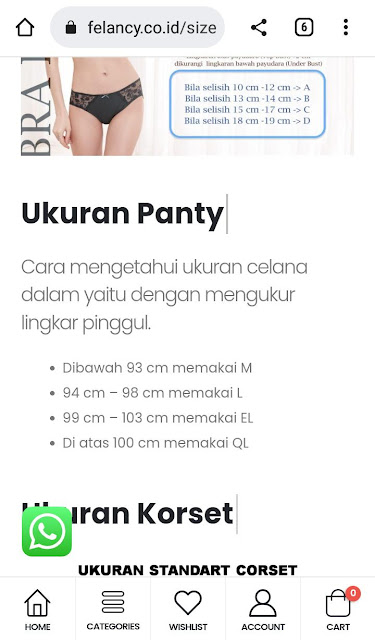 Ukuran panty di felancy