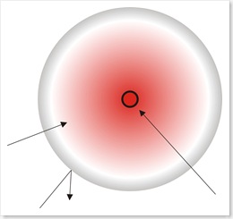 Group Distribution Circle - Ideal