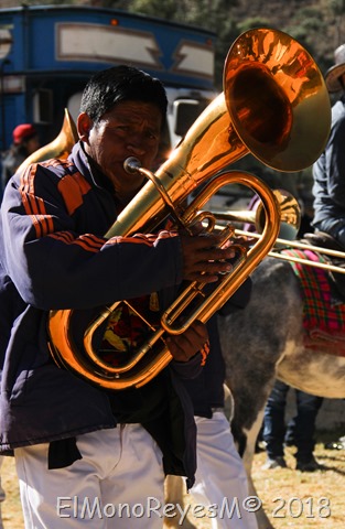 El tubero