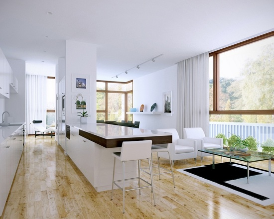 Simple White Apartment Interior Designs
