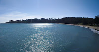 Peaceful ocean against the backdrop of a shoreline that includes trees, houses, and a beach