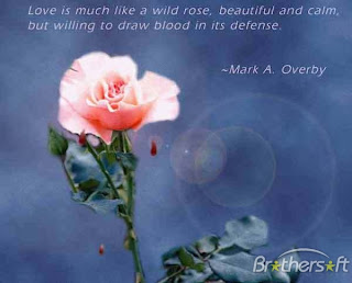 Romantic Love Quotes