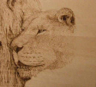 lioness pyrography in progress