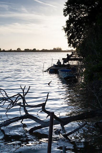Horgászok várnak a kapásra az Atkai-Holt-Tiszánál napnyugtakor