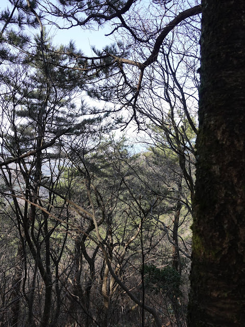 孝霊山　中腹の急な坂道