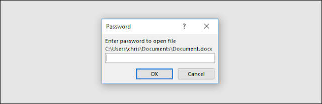 डॉक्यूमेंट खोलने के लिए पासवर्ड डालें 