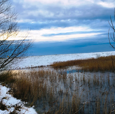 Paull Nature Reserve East Yorkshire in the winter