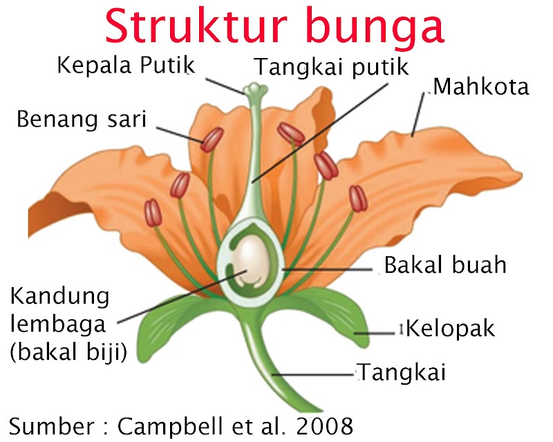 Inspirasi Terpopuler Generatif Adalah