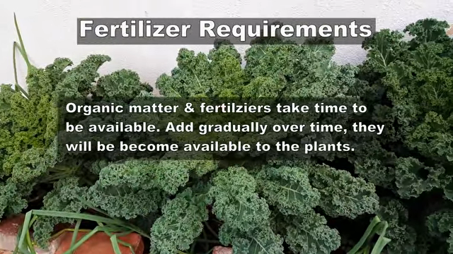 growing kale in pots, Fertilizer Requirements