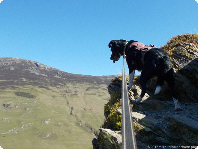 fleetwith - haystacks 006