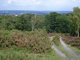 Addington Hills