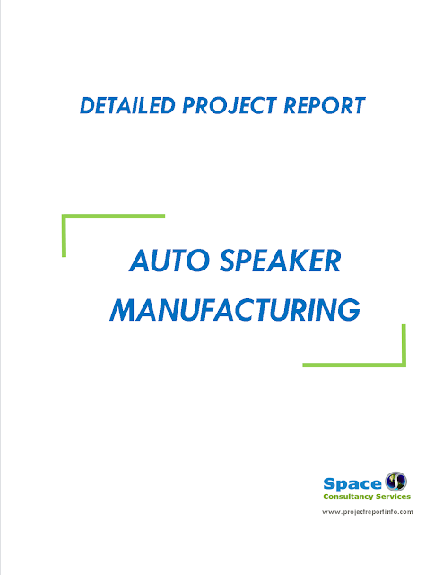 Project Report on Auto Speaker Manufacturing