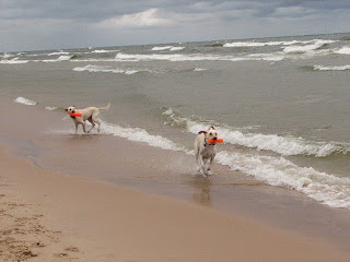 Beacon's Beach