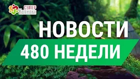 Дайджест новостей от СуперКопилки