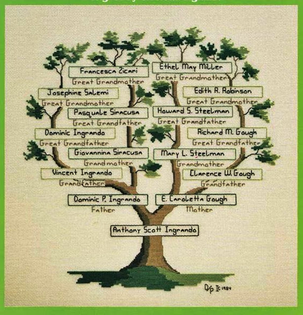 haftowane drzewo genealogiczne