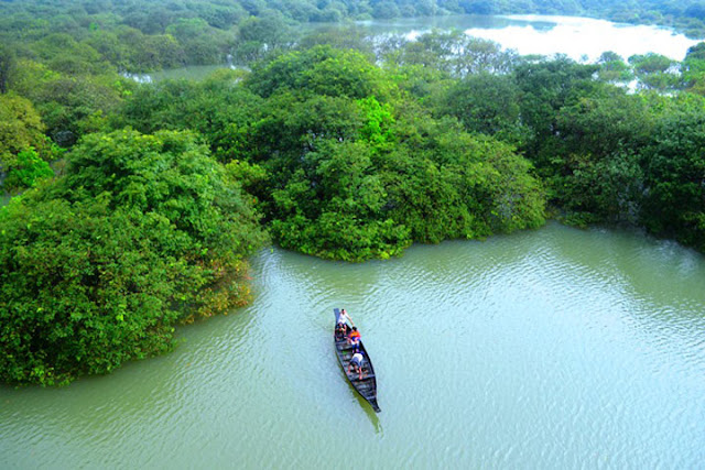 রাতারগুল সিলেট