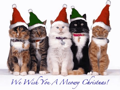 funny christmas card ideas. Funny Christmas Cards