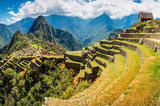 THE INCAS