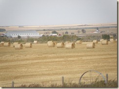 FieldsBales (1)