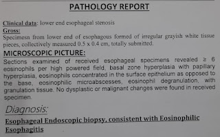 pathology report
