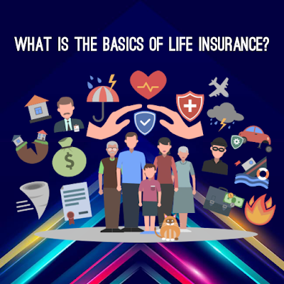 What is the basics of life insurance?