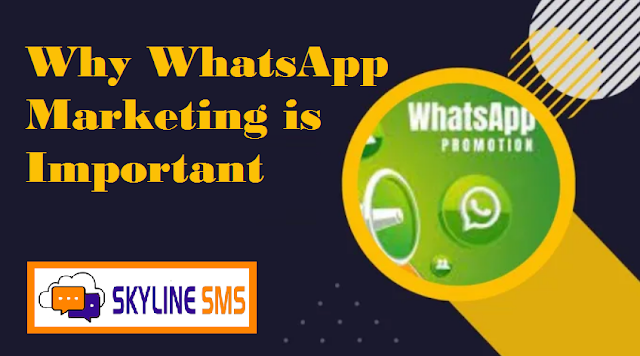 whatsapp marketing services