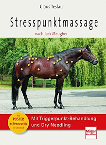 Stresspunktmassage nach Jack Meagher: Mit Triggerpunkt-Behandlung und Dry Needling