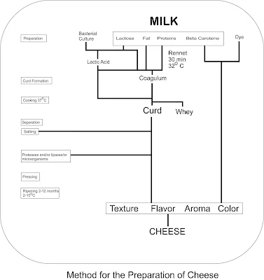 enzymes used in the dairy steps along with list of enzymes