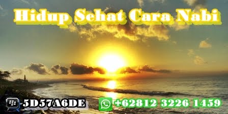 Solusi Tepat Hidup Sehat Alami