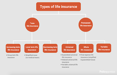 5 Main Insurance