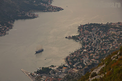 Kotor