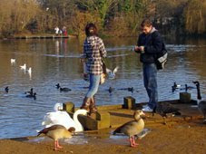 Tooting Bec Common pond