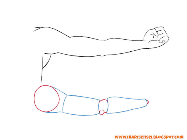 Dessiner les bras:  bras en extension max