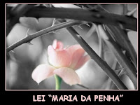 Lei Maria Da Penha O Que Mudou