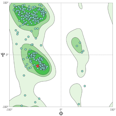 Ramachandran Plot